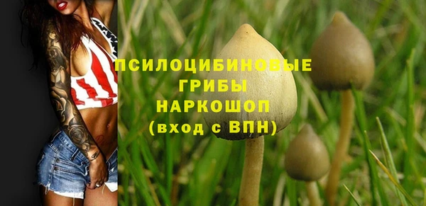 кокаин Бородино