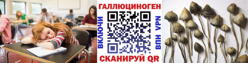 Псилоцибиновые грибы GOLDEN TEACHER Кирсанов